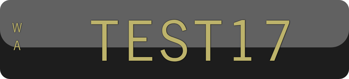 TEST17