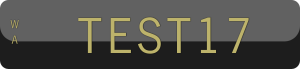 TEST17