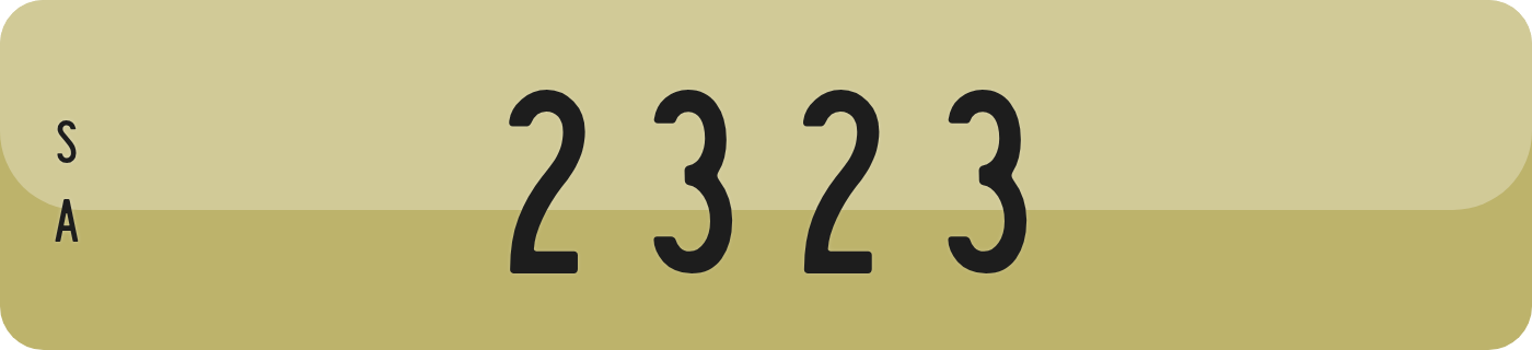 2323